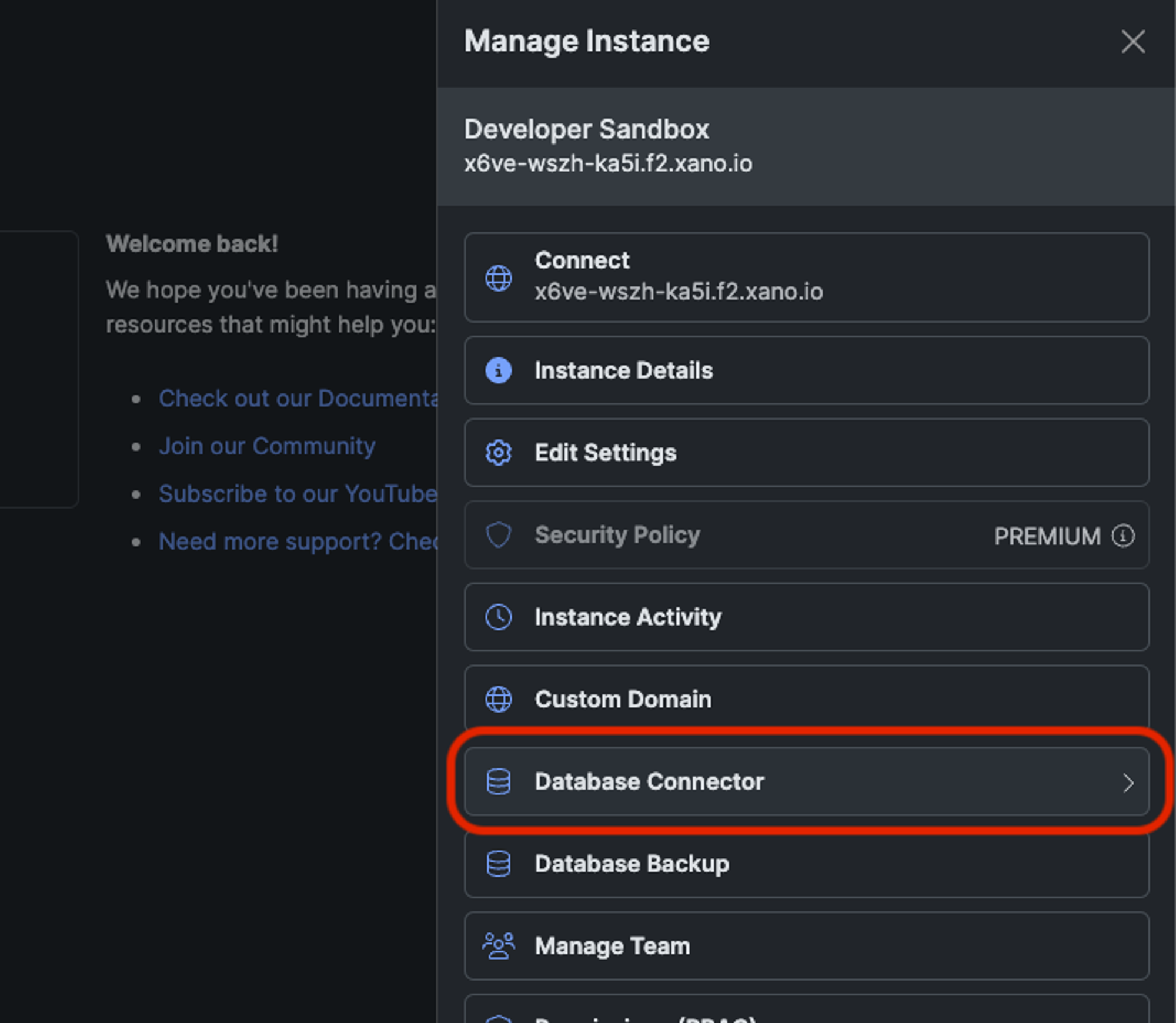 Select the Database Connector option