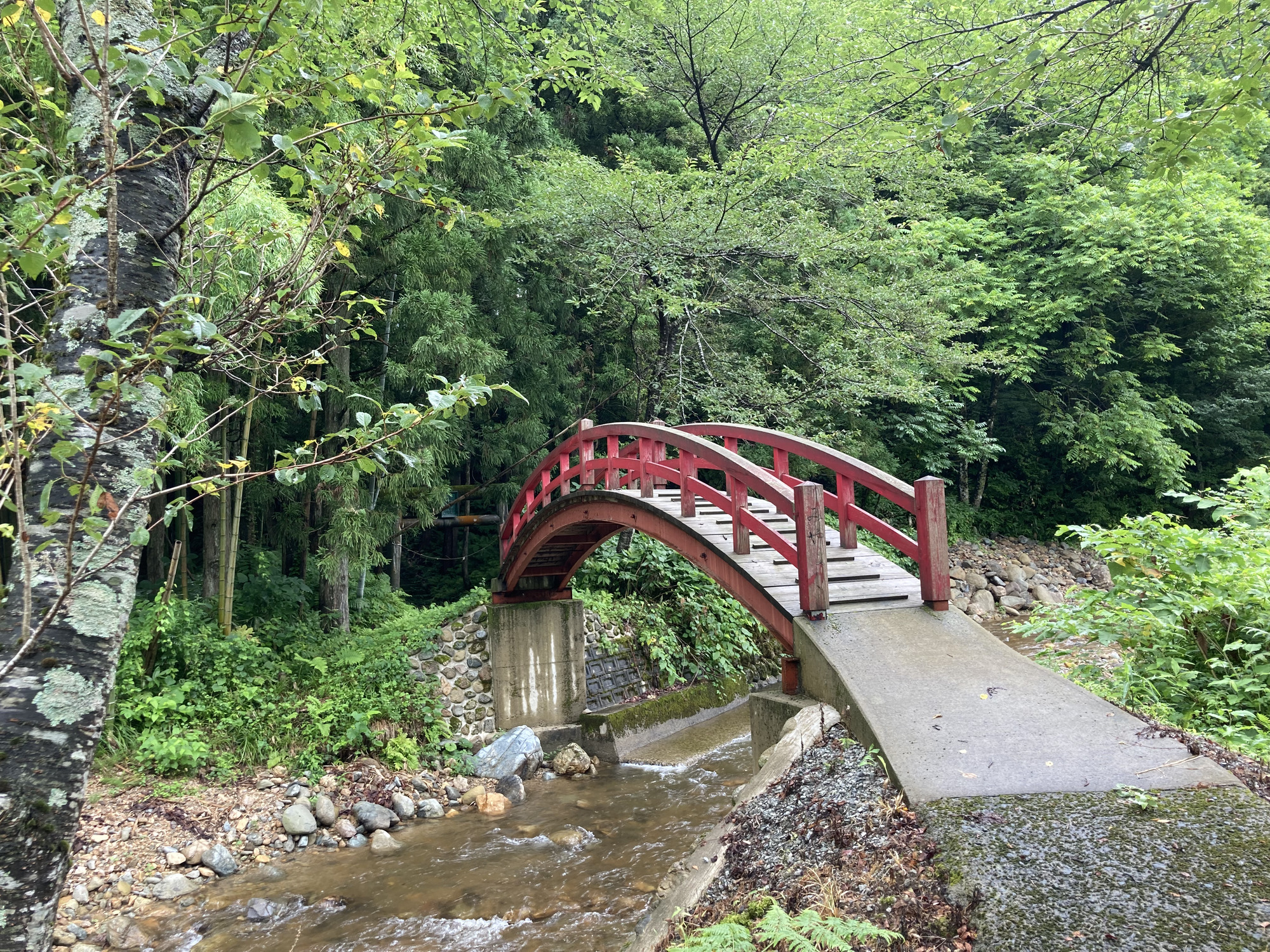 山熊田-写真-7