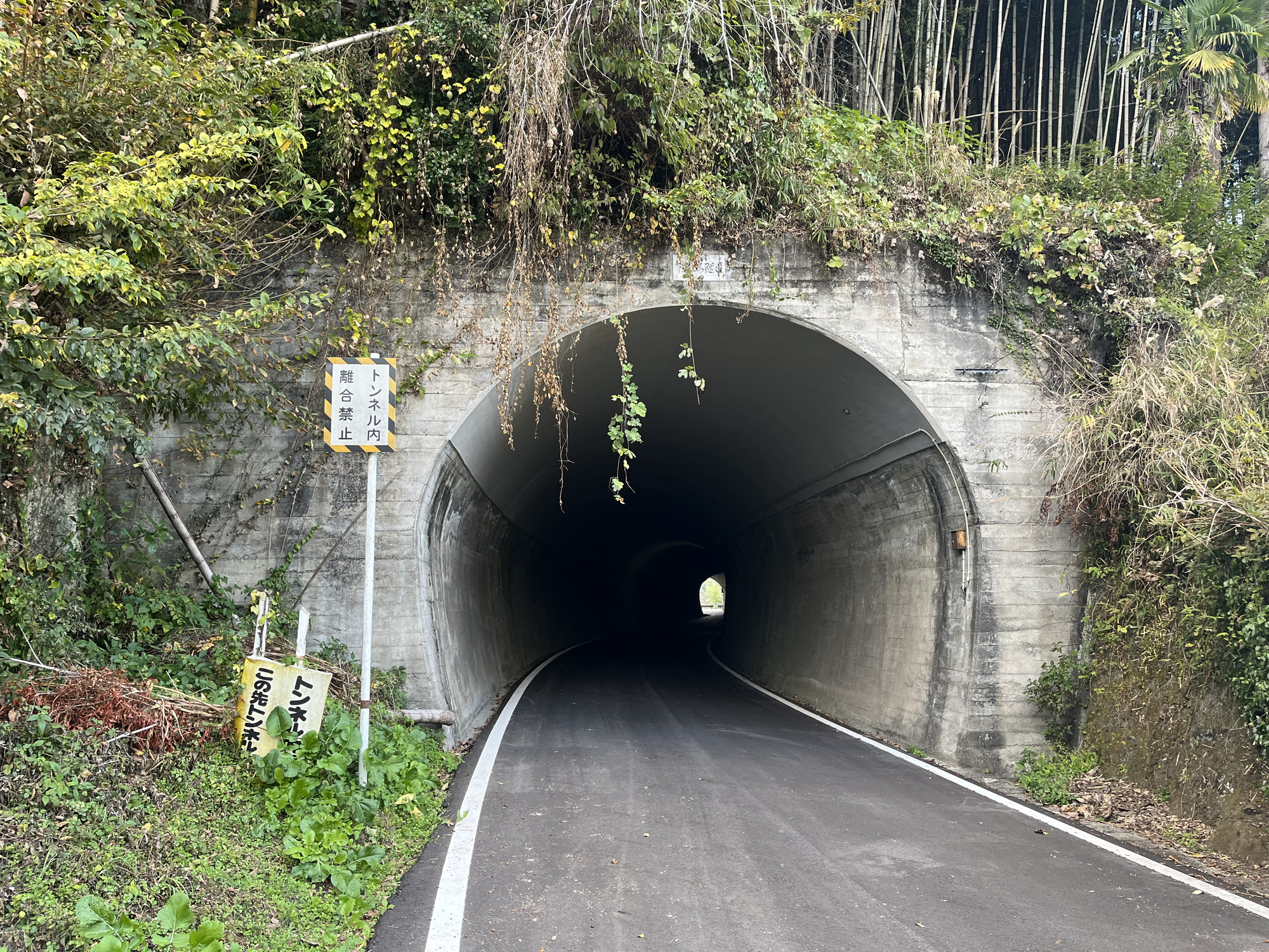 下志土知-写真-29