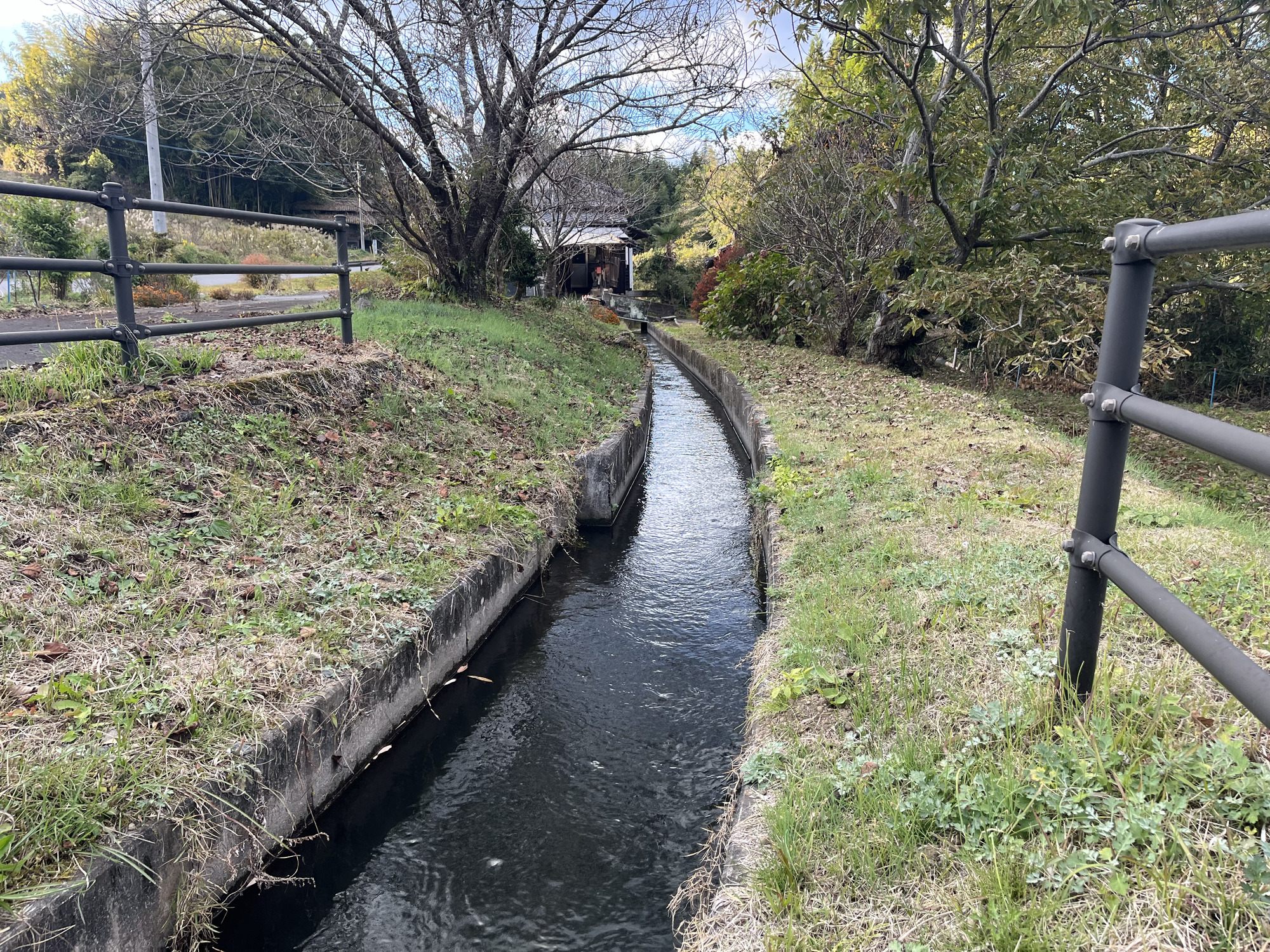 下志土知-写真-28