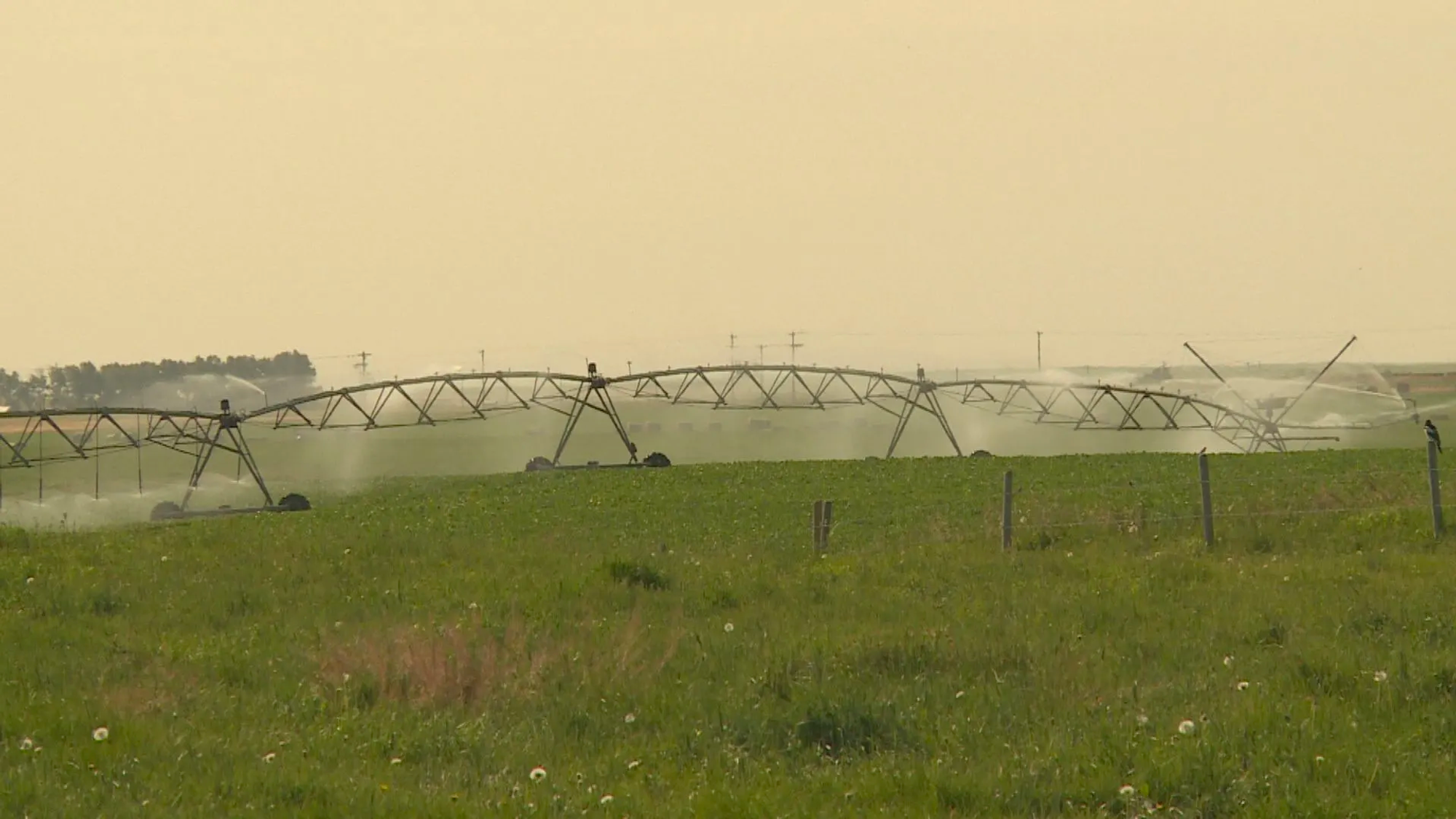 Irrigators vote to combine SMRID and Taber Irrigation Districts