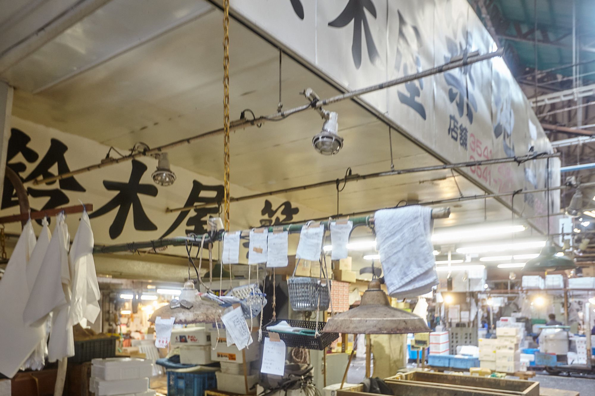 Tsukiji Fish Market in Tokyo