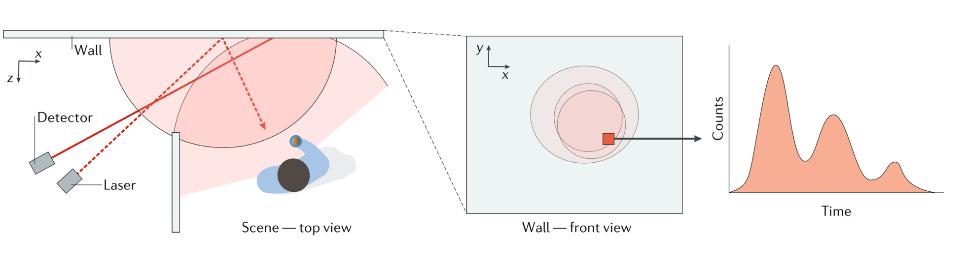 光的传播过程：①发射 ②前面漫反射diffusion产生球面波 ③物体表面反射 ④物体反射的到墙 ⑤墙再次反射
