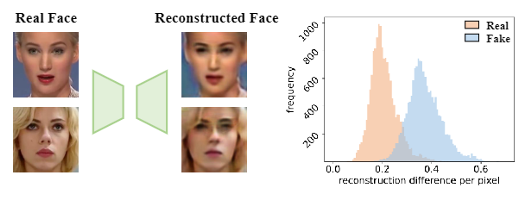 我们仅对真实样本进行重建学习，以学习真实面部图像的常见紧凑表示（左）。通过学习表示，真假人脸的重建差异在分布上存在显着差异（右），这有助于伪造检测。