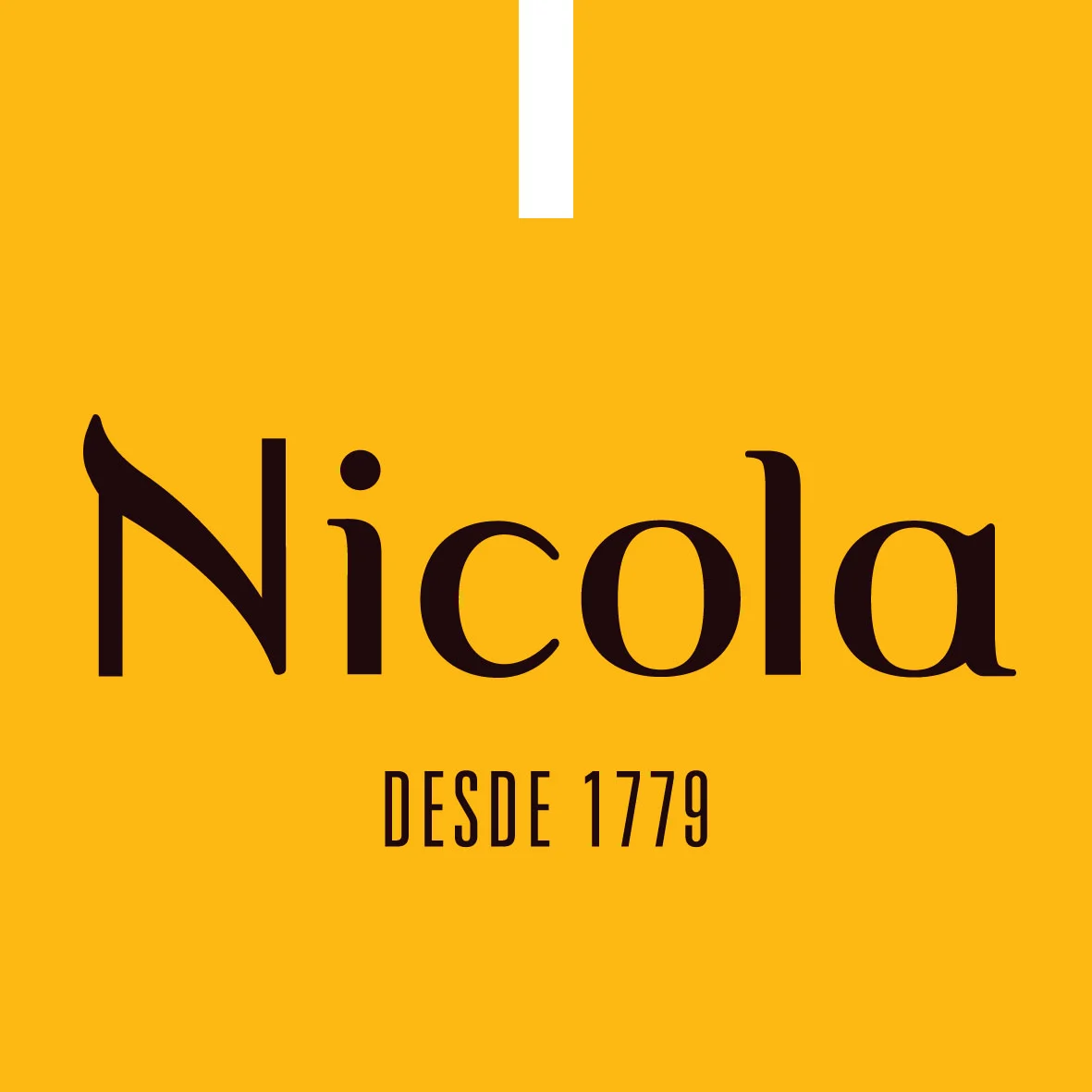 logo_nicola_2-01.webp