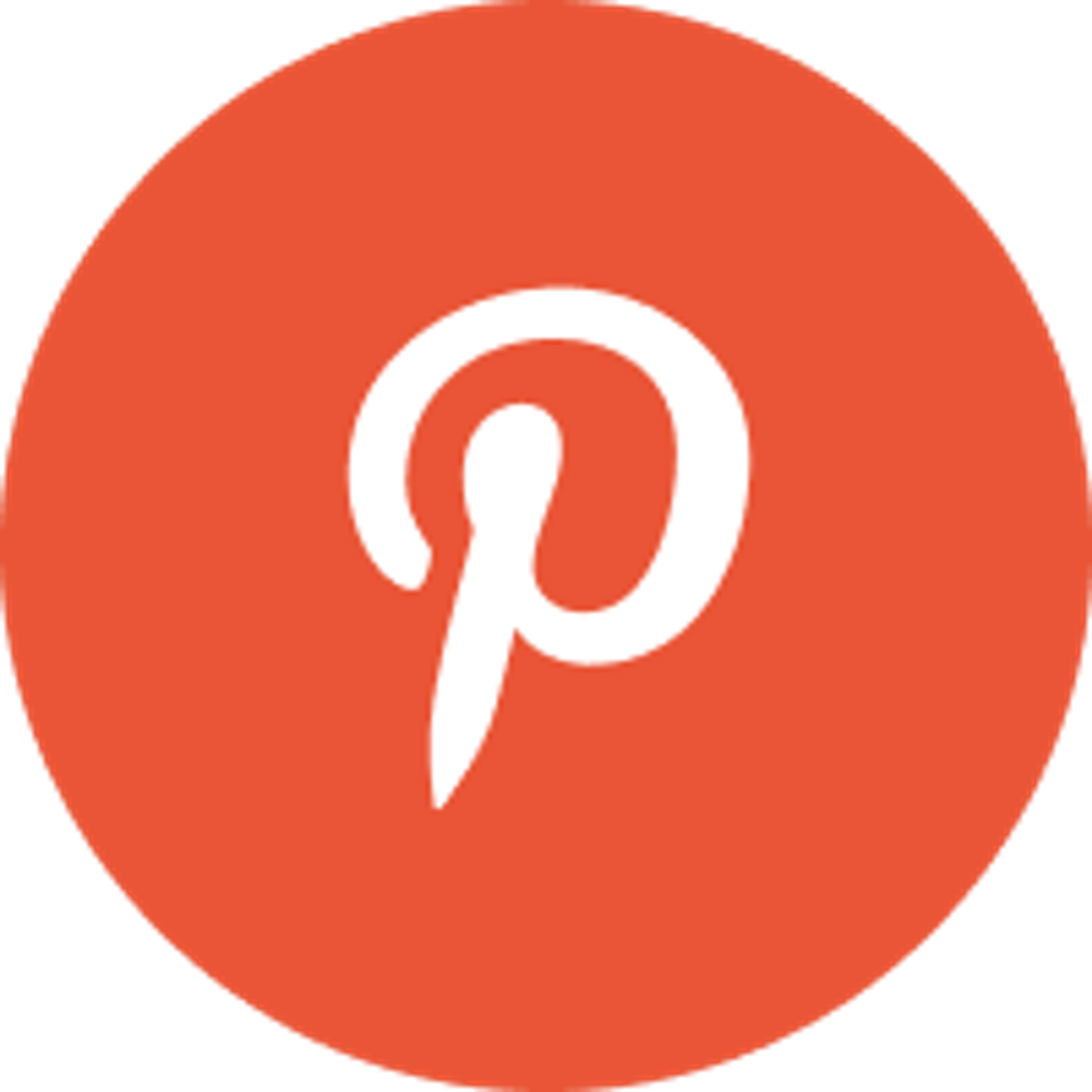 Pinterest logo icon