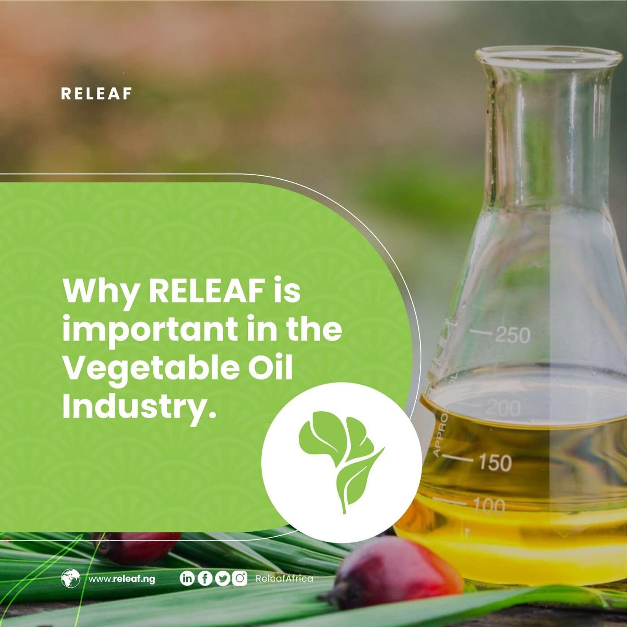 Why Releaf is Important in the Vegetable Oil Industry