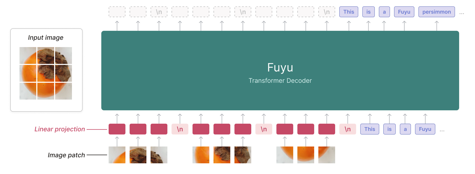 Fuyu-8B: A Multimodal Architecture for AI Agents