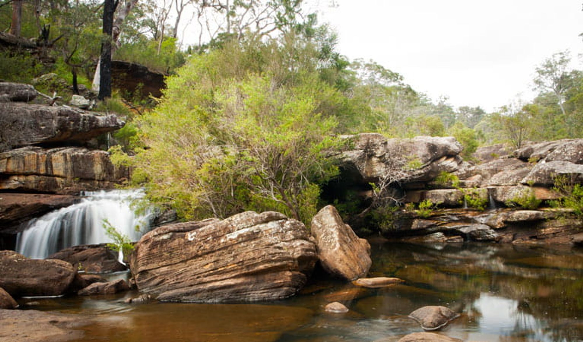 Dharawal National Park | NSW National Parks