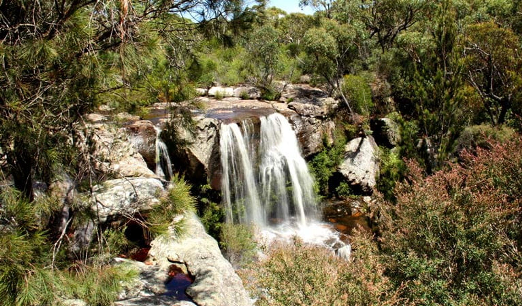 Maddens Falls | NSW National Parks